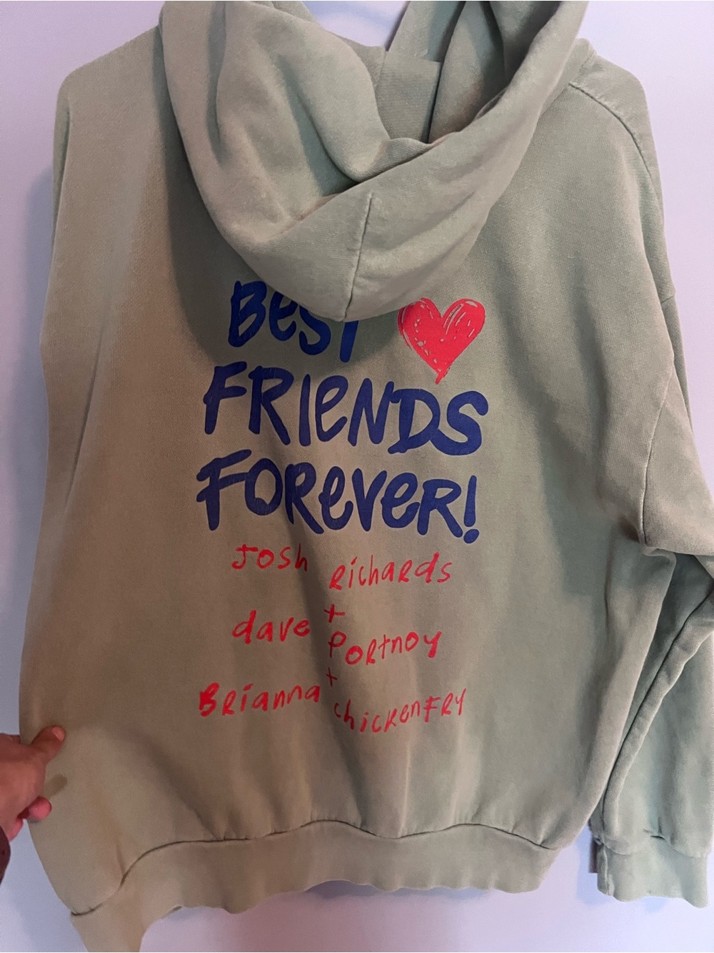 BFFS hoodie - Sage Green with Navy & Red Print
